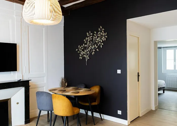 Appartement Centre Historique Tours